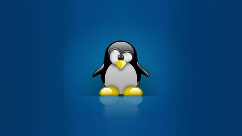 Файловая система Linux