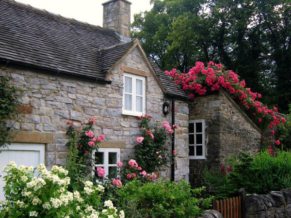 Cottage with Roses in the Village of Thorpe on the Tissington Trail in Derbyshire
