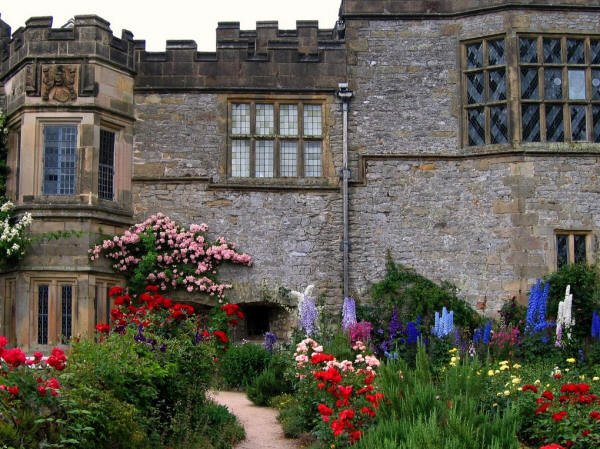 Roses and Delphiniums at Haddon Hall