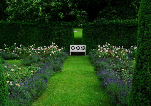 ☆  FavoriteThe Rose Garden at Chatsworth, DerbyshireBy UGArdener