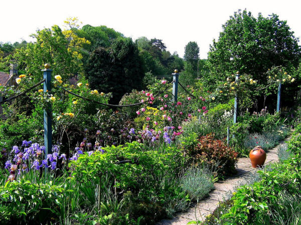Irises, Roses, etc. at Mill Dene Garden, Blockley, Cotswolds