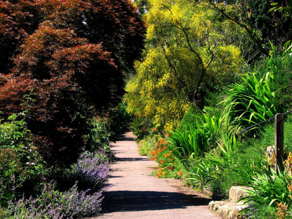 Down a Garden Path at Borde Hill, West Sussex