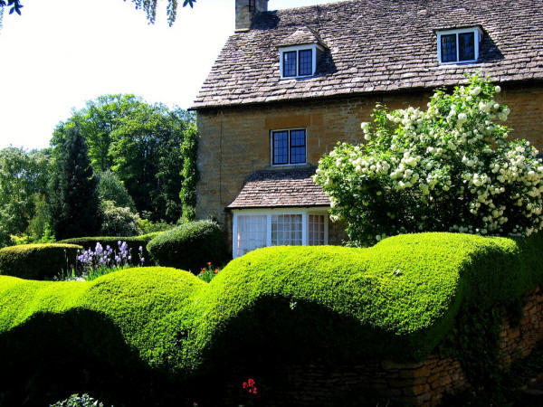 ☆  FavoriteUndulating Hedge in Bourton on the Hill, Cotswolds, GloucestershireBy UGArdener