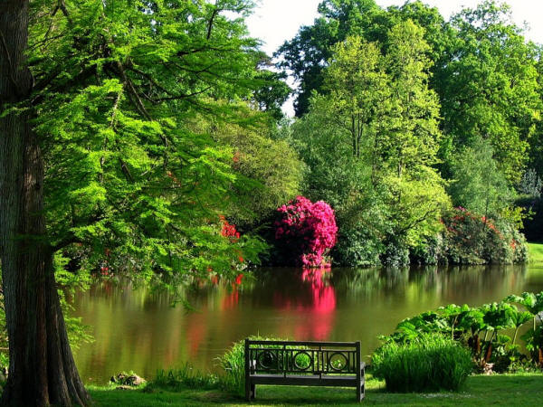 Sheffield Park, a National Trust Garden in East Sussex