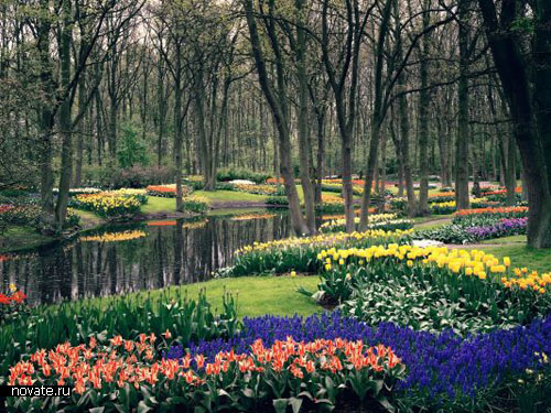222 Десятка самых красивых садов мира