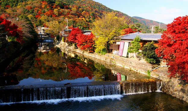 Киото ботанический сад японский сад река водопад
