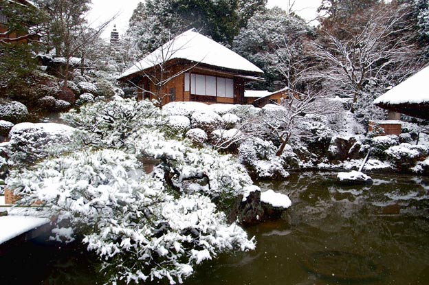 Киото ботанический сад японский сад пагода зима деревья в снегу