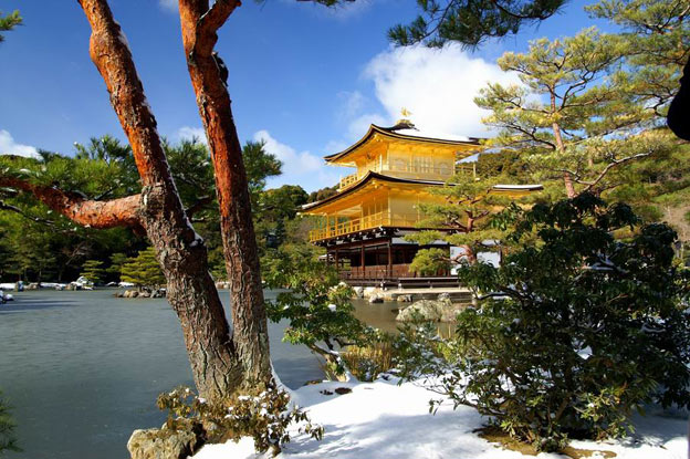 Киото ботанический сад японский сад пагода синтоистский храм
