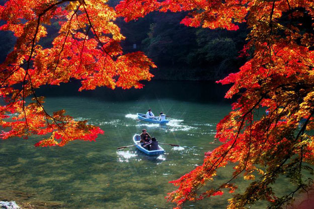 Киото ботанический сад японский сад плавание на лодках
