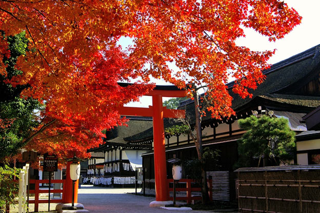 Киото ботанический сад японский сад пагода осень