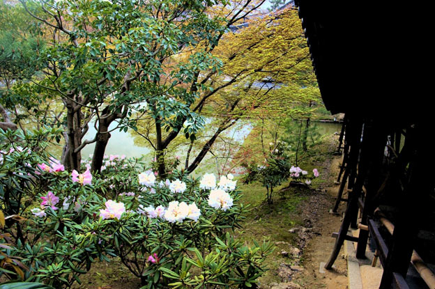 Киото ботанический сад японский сад 