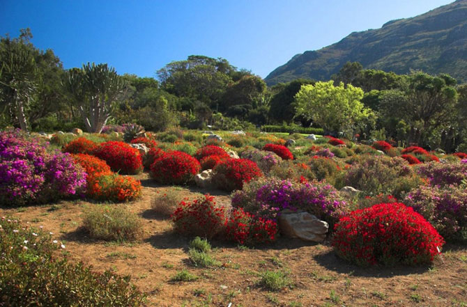 15 самых красивых садов в мире