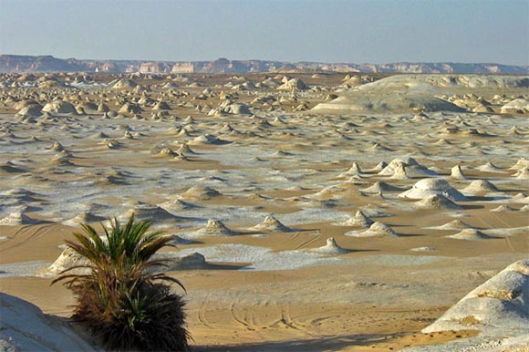 Белая пустыня (White Desert) , Египет