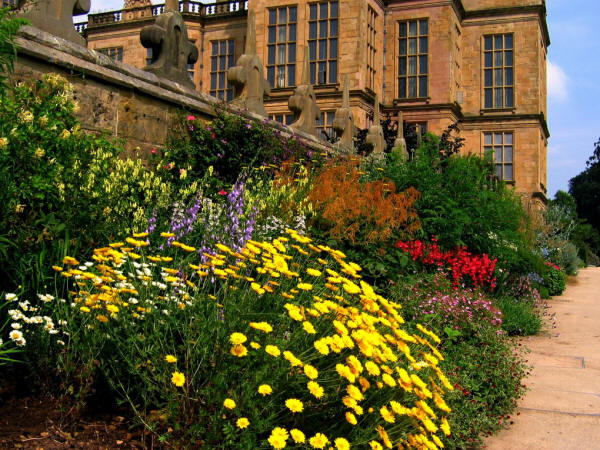 More Summer Color (or "Colour") at Hardwick Hall in Derbyshire