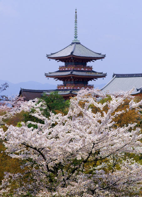 Киото ботанический сад японский сад пагода