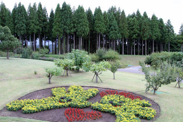 Японский парк цветов Тоттори